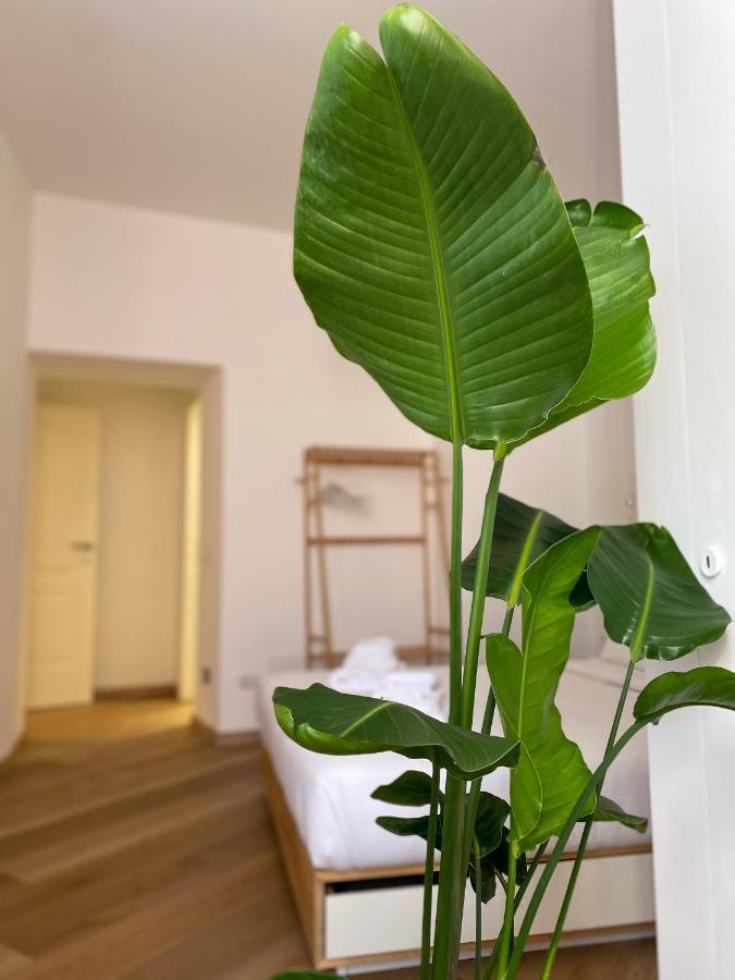 Boho Suites - Rome Colosseum ภายนอก รูปภาพ